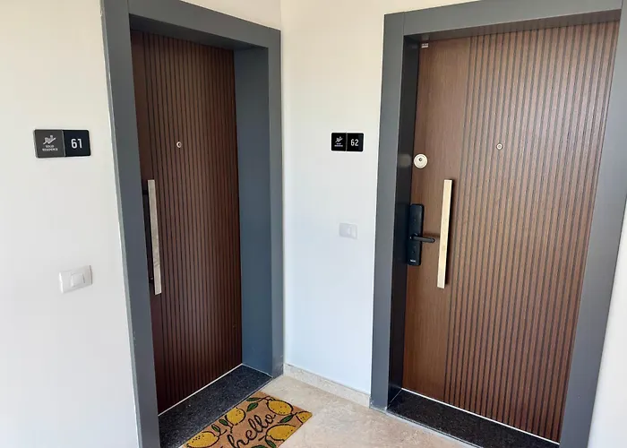 Solid Melody * Mamaia