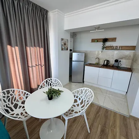 Solid Melody Daire *