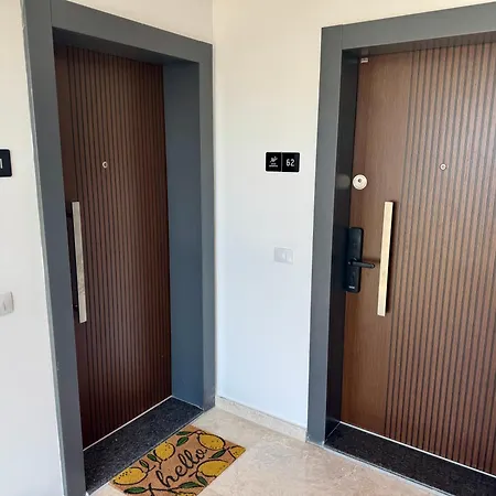 Solid Melody * Mamaia