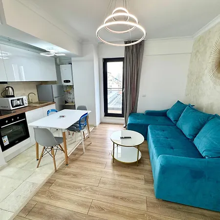 Solid Melody Daire *